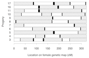 Broman and Weber (2000) Fig 1