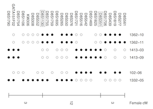 Broman et al. (2003) Fig 1